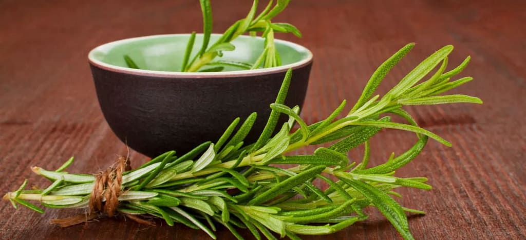 Romero: El secreto natural para un cabello fuerte y saludable